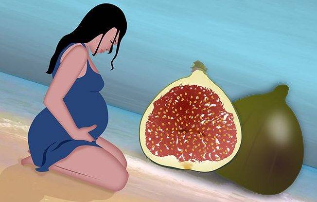 Можно ли есть чернослив во время беременности на ранних и поздних сроках?