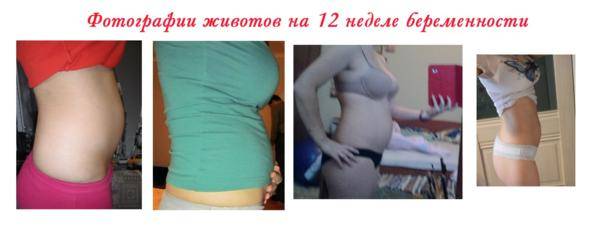 12 недель беременности