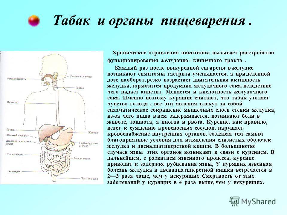 Как восстановить желудок после лечения коронавируса | стимбифид плюс