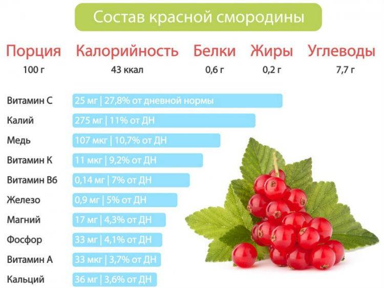 Красная смородина: польза и вред для здоровья детей