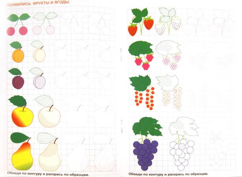 Последовательность рисования овощей и фруктов