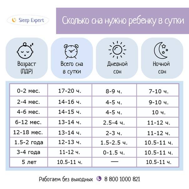 Режим дня ребенка в 9 месяцев: таблица сна по часам, питание