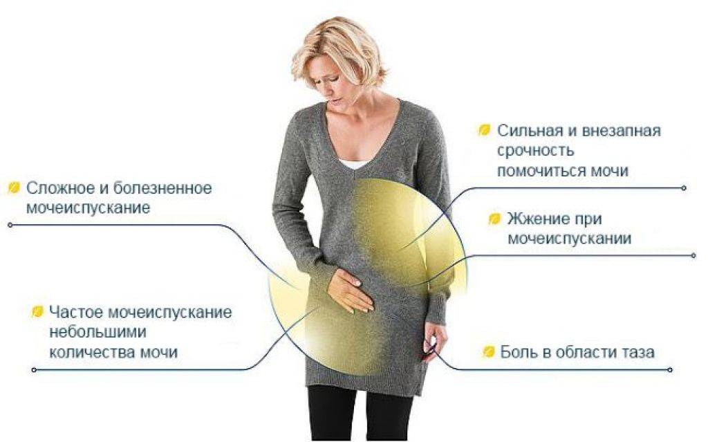 Частое мочеиспускание у беременной: лечение частого мочеиспускания у беременной, прием уролога в москве