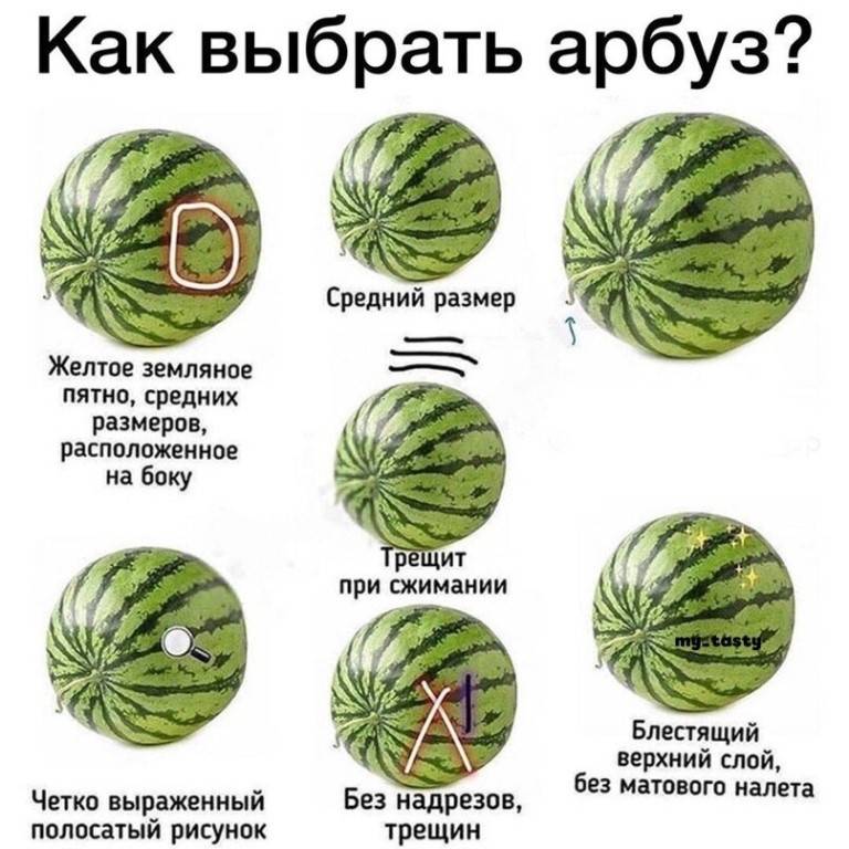 Как выбрать спелый и сладкий арбуз: рекомендации по правильному выбору девочки, мальчика, по стуку / mama66.ru