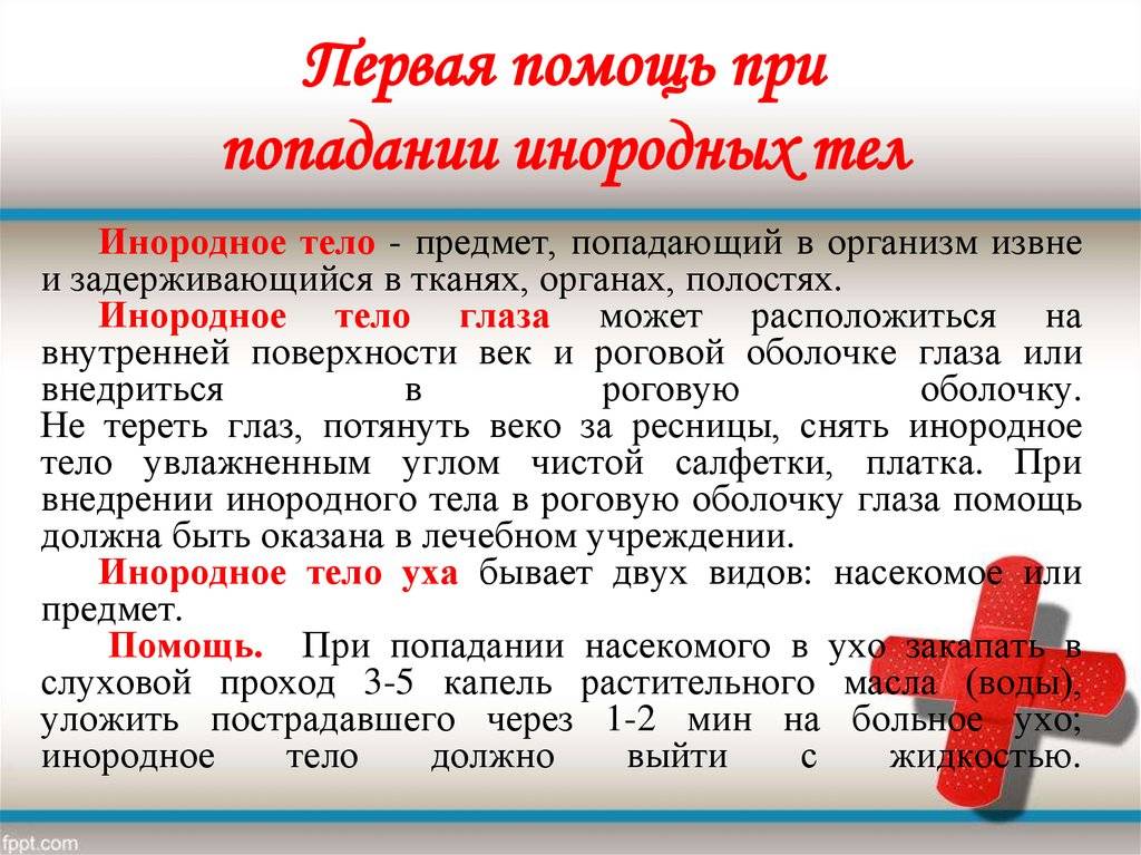 Как извлечь инородное тело из наружного слухового прохода? обратитесь за помощью в «мед-союз»!