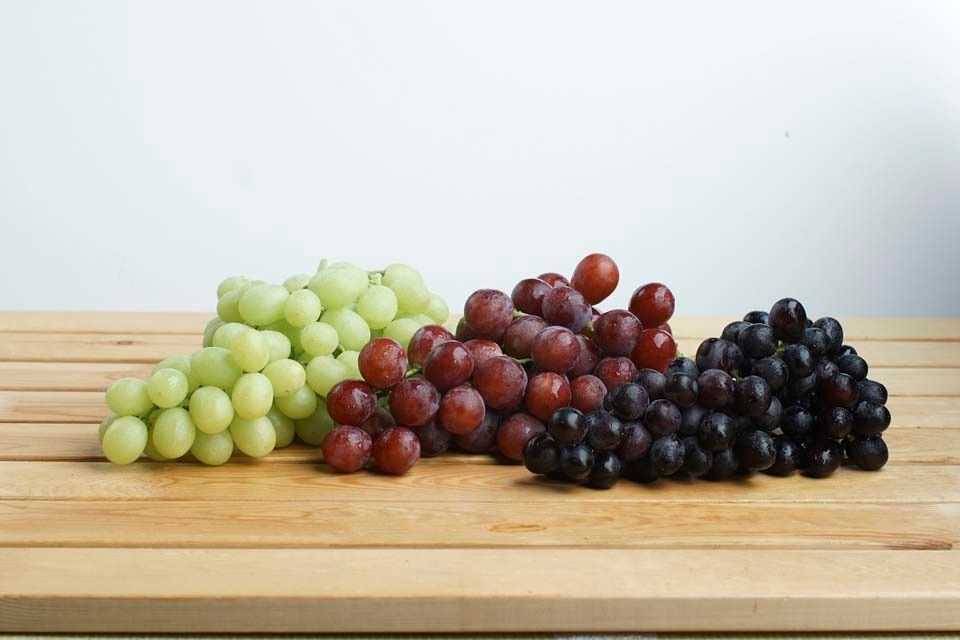 Виноград при грудном вскармливании: можно ли его кушать
