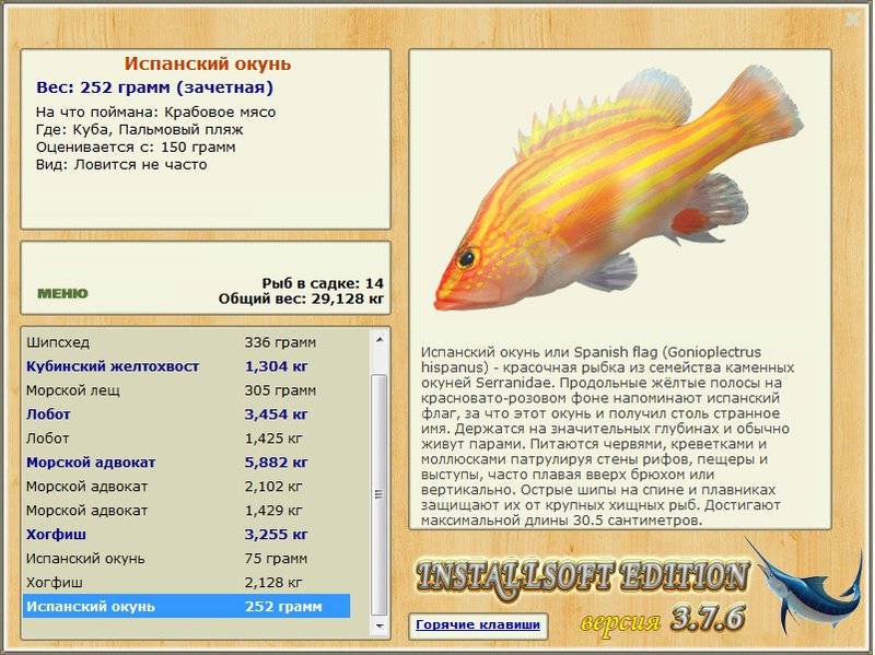 Как приготовить морского окуня для ребенка 1 год