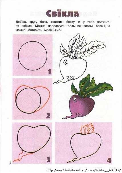 Как рисовать аппетитные фрукты и овощи акварелью пошагово
