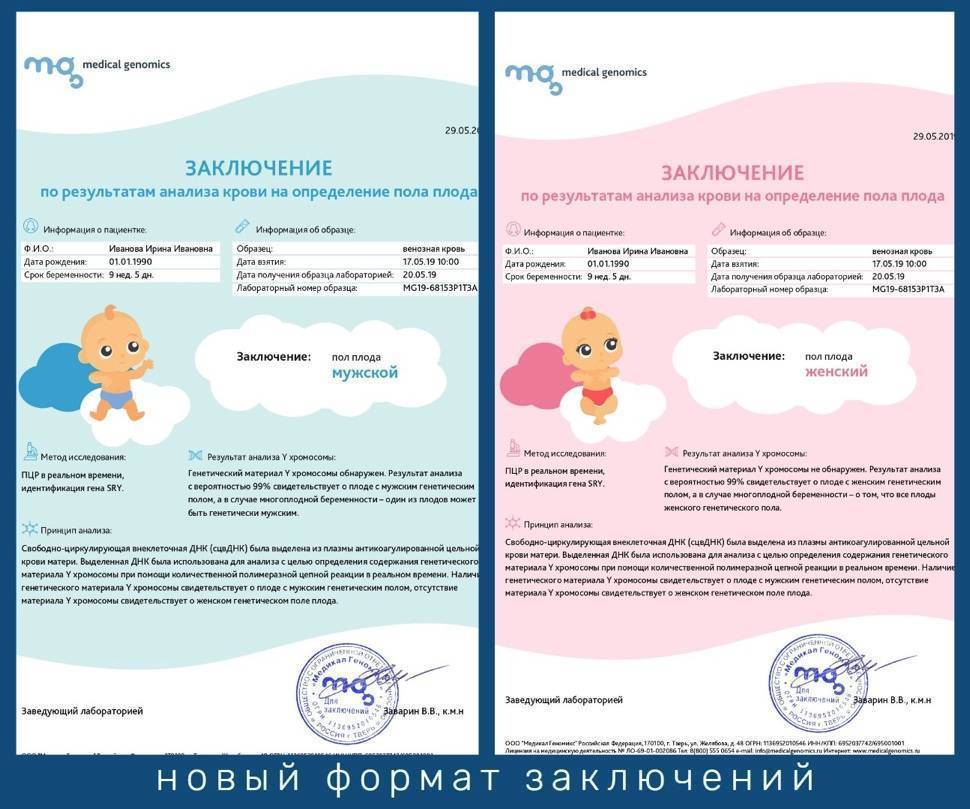 Определение пола будущего ребенка: тест днк в украине | медико-генетический центр мама папа