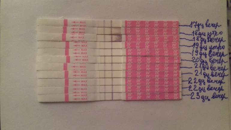 Календарный метод предохранения от беременности | календарная контрацепция