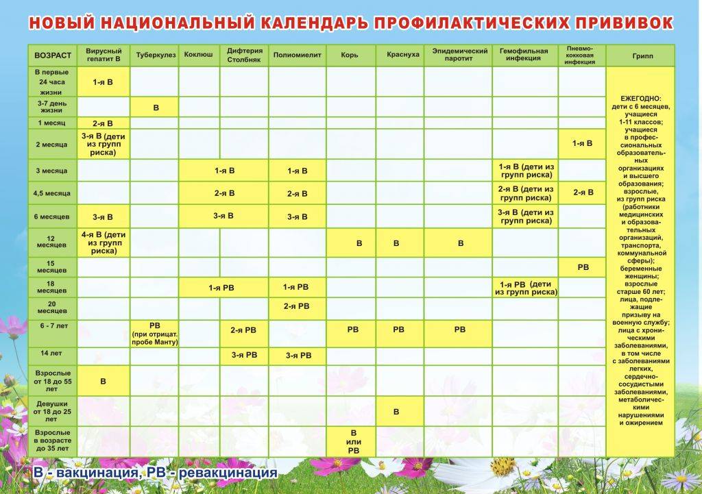 Календарь прививок для детей до 1 года с графиком по месяцам - какую вакцинацию делают в россии?