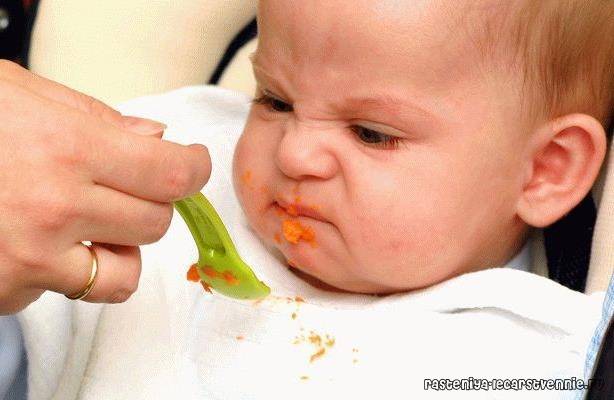 Ребенок не ест прикорм: что делать, если он отказывается от новой еды в 7-8 месяцев?