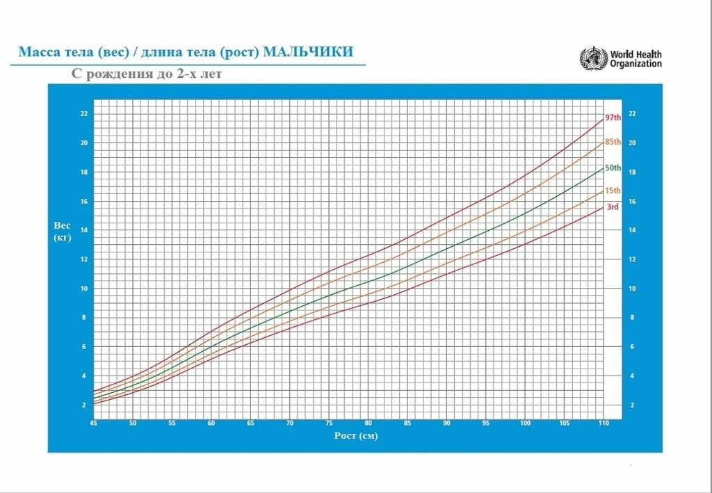 Рост и вес ребенка по месяцам и по годам: таблицы и данные воз