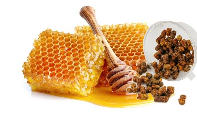 Как принимать пергу пчелиную: правила и дозировки для детей и взрослых