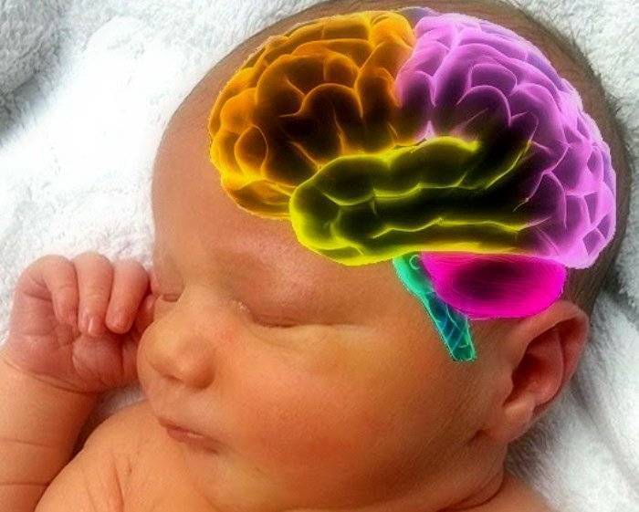 Последствия незрелости головного мозга у новорожденных | плюсы и минусы
