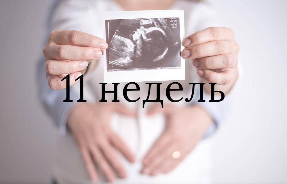 11 неделя 18 года. Беременность 11. 11 Недель беременности фото.