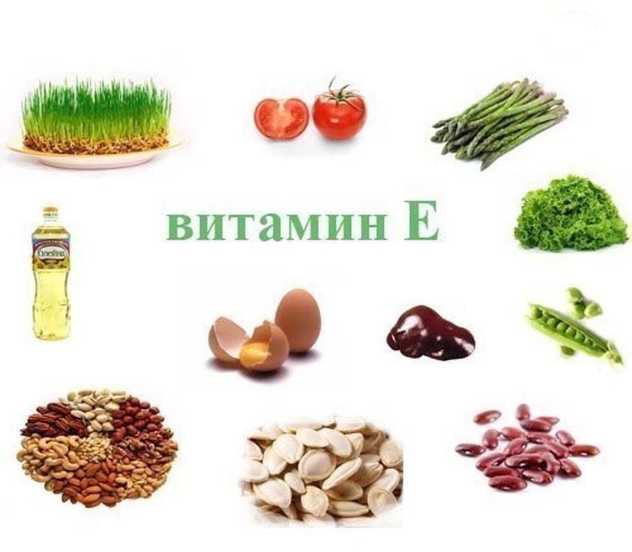 Витамин е: польза для организма, в каких продуктах содержится, суточная норма и популярные препараты