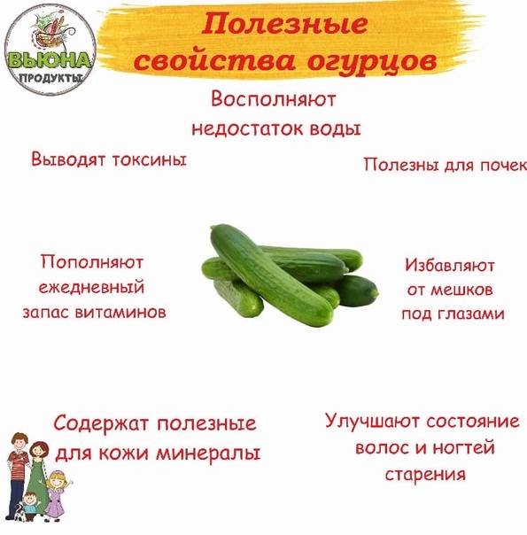 C какого возраста ребенку можно давать свежий огурец, чем полезен этот овощ и бывает ли на него аллергия?