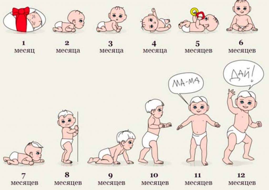 Развитие ребенка от 6 месяцев до года - режим, вес, умения - agulife.ru - agulife.ru