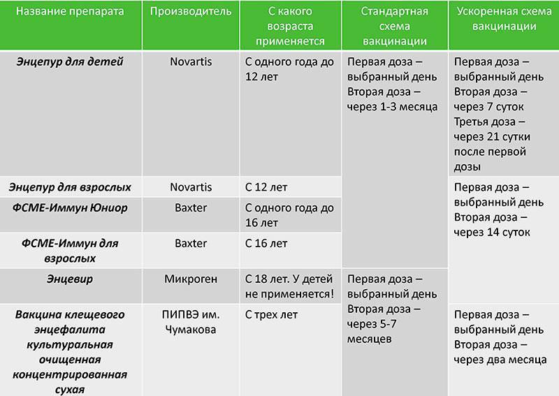 Прививка от клеща и клещевой энцефалит: знать главное - аско-мед в новосибирске и барнауле