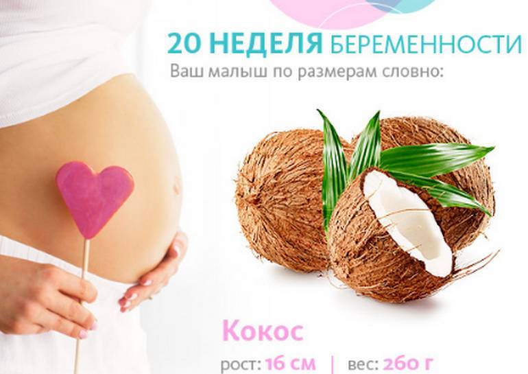 Беременность 21 неделя – развитие плода и ощущения женщины