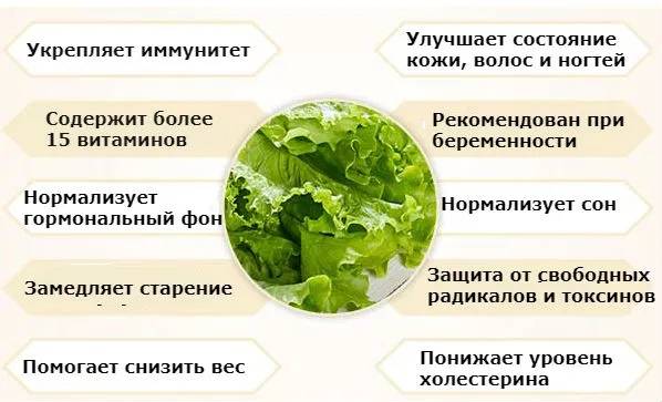 Маме кормящей можно свеклу вареную