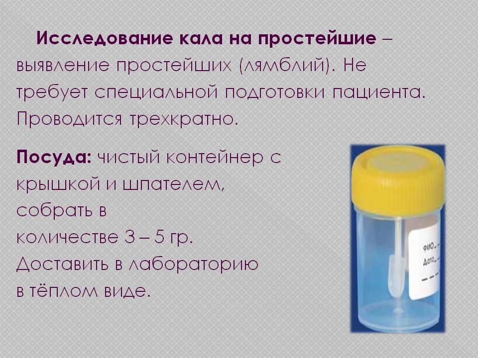 Как правильно сдавать анализы на яйцеглист, его исследование | 
    мой город чебоксары–делаем полезные новости