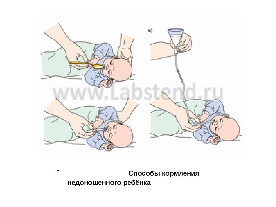 Зонт кормление для новорожденных