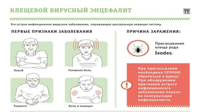 Энцефалит у детей - симптомы болезни, профилактика и лечение энцефалита у детей, причины заболевания и его диагностика на eurolab