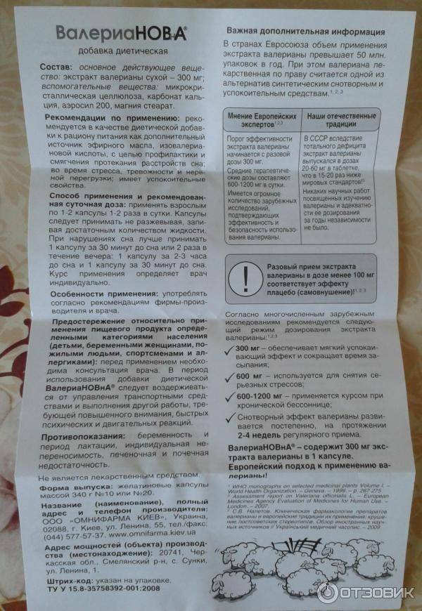 Как выбрать пробиотики для кишечника: список препаратов