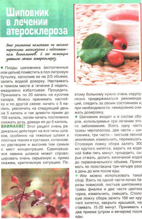 Топ-11 пребиотиков для кишечника - рейтинг хороших средств 2020
