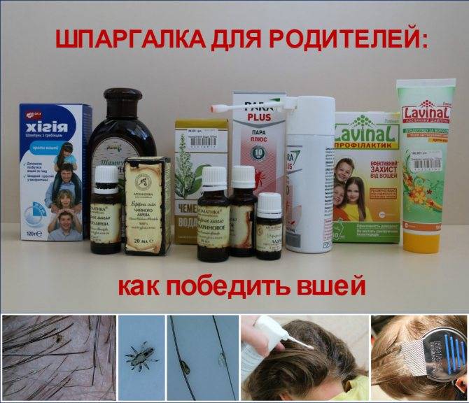 Что делать, если у кого-то в семье педикулез?