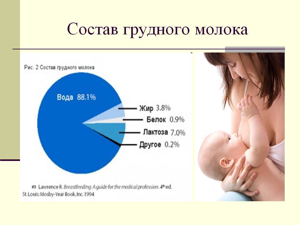 Процесс образования грудного молока и как ребенок сосет грудь » медицинская академия "генезис" клиника на ленинском 131