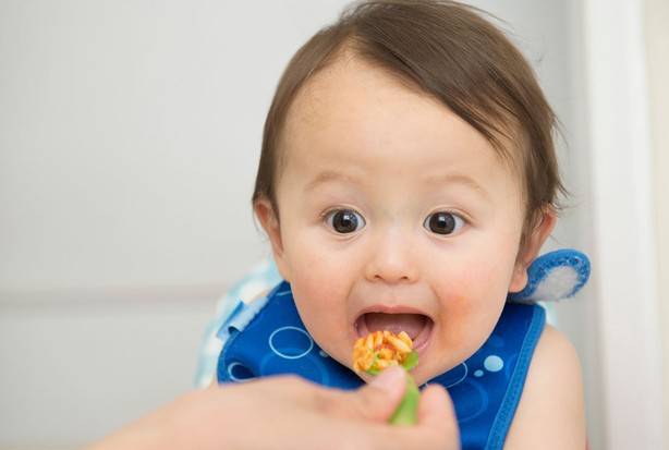Как научить ребенка жевать твердую пищу в 1, 2 года, комаровский