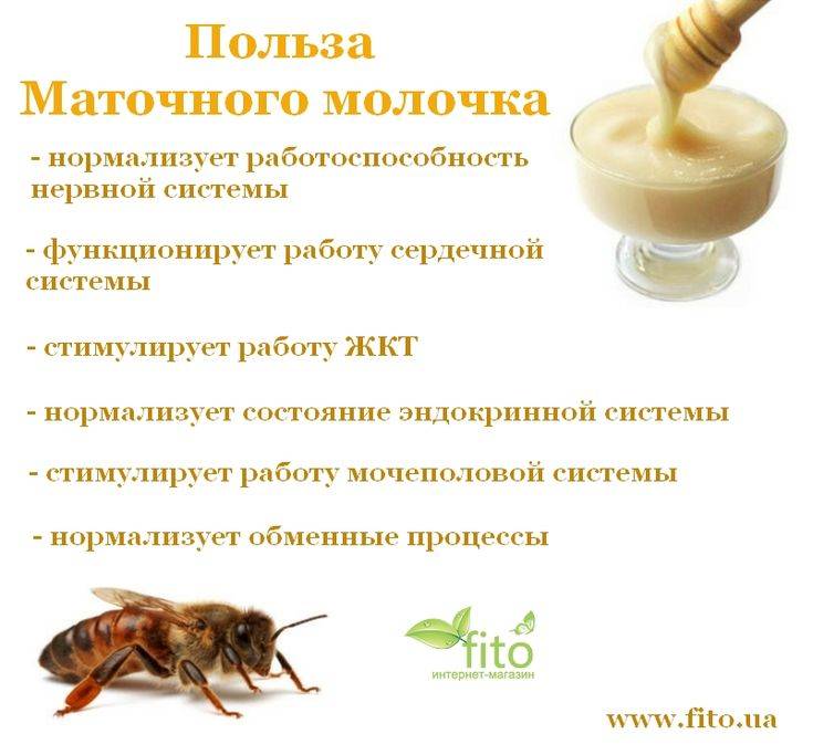 Пчелиное маточное молочко в гранулах, применение, как хранить