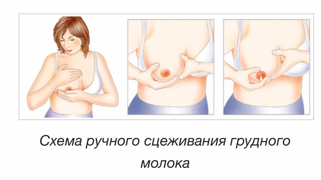 Зрелая лактация: когда устанавливается, как расцедить грудь и молоко после родов