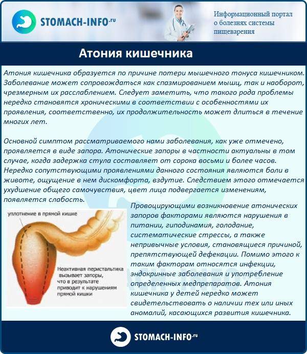 Дискинезия желчевыводящих путей (джвп) | itvm.ru институт традиционной восточной медицины