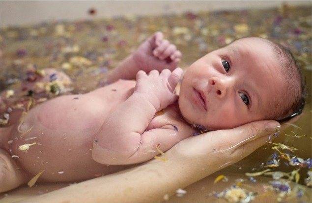 Как заварить ромашку для купания новорожденного, правила купания грудничков