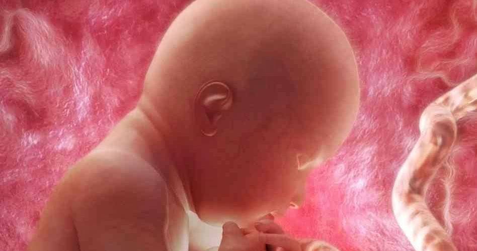 28 неделя беременности: что происходит с малышом и мамой