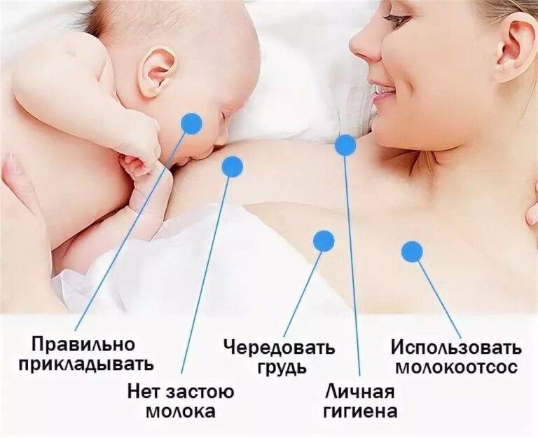 Состав грудного молока » медицинская академия "генезис" клиника на ленинском 131