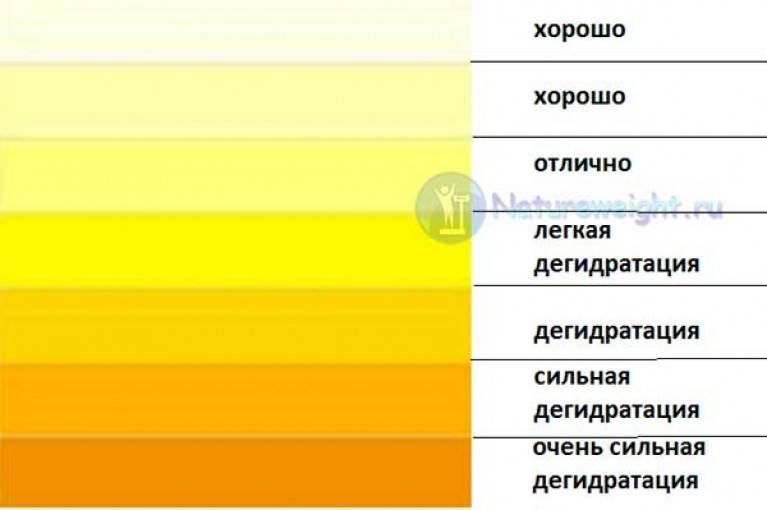 Ярко-желтая моча у ребенка: норма, причины, рекомендации | pro-md.ru