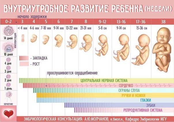 Covid-19 и беременность: новые данные