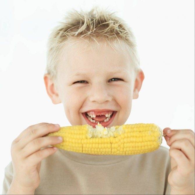 С какого возраста ребенку можно давать кукурузу и в каком виде?