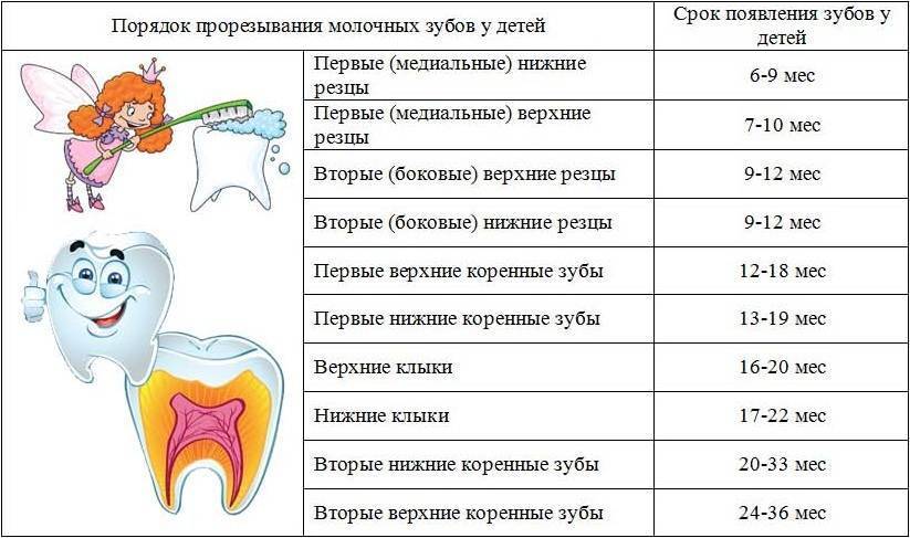 Задержка прорезывания молочных зубов