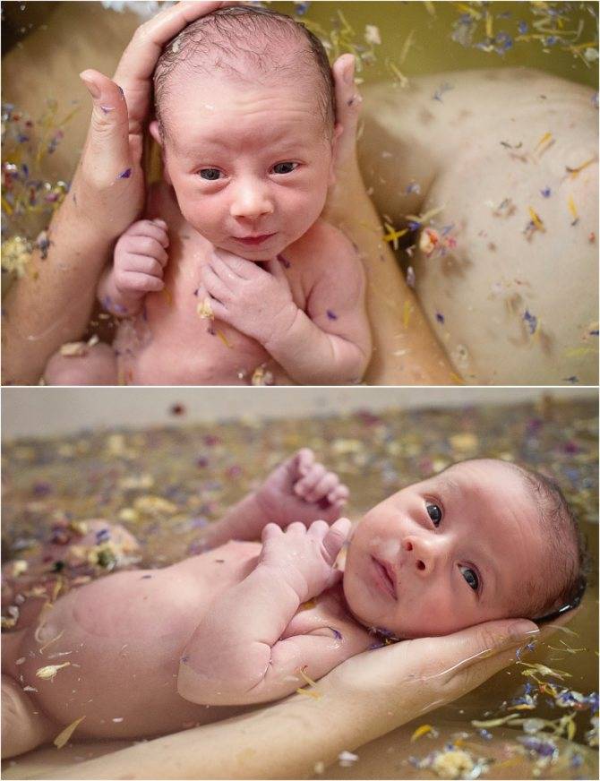 Ванна с ромашкой для новорожденных