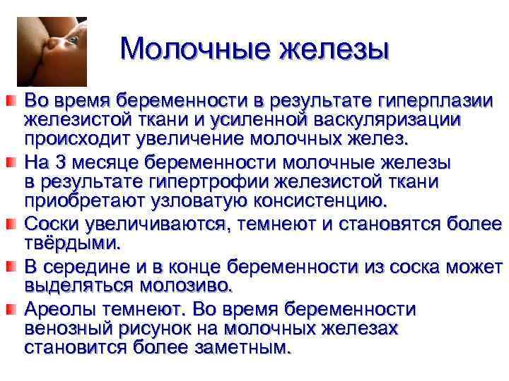 Грудное кормление новорожденных после родов:  советы