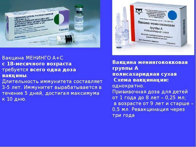Прививка от менингококковой инфекции в одинцово и звенигороде: сделать прививку от менингита детям