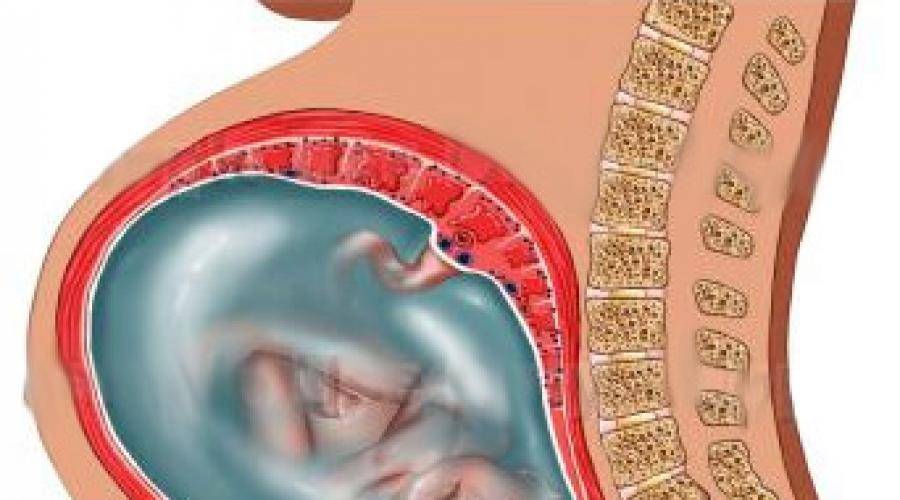 Бурление и бульканье в животе у беременных, стоит ли переживать?