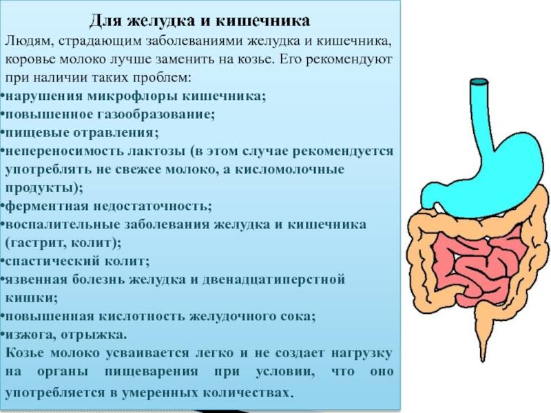 Почему возникает рвота после приема пищи | стимбифид плюс