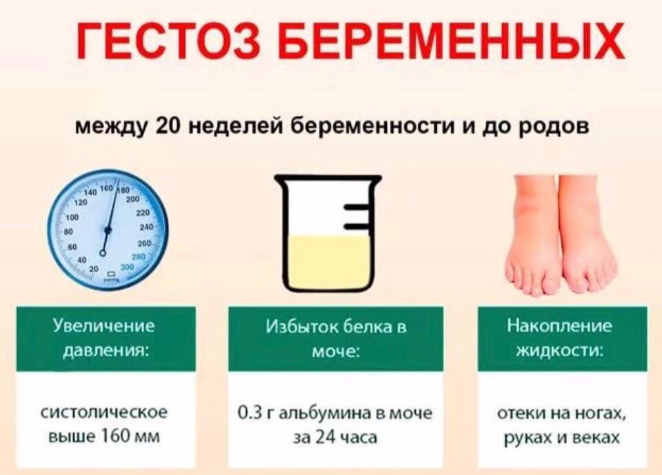 Физиологические изменения показателей крови при беременности / «www.medportal.ru»